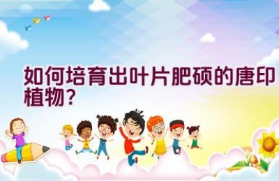 如何培育出叶片肥硕的唐印植物？