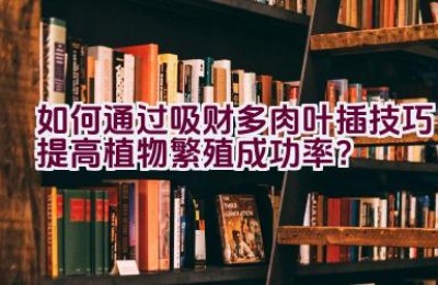 如何通过吸财多肉叶插技巧提高植物繁殖成功率？