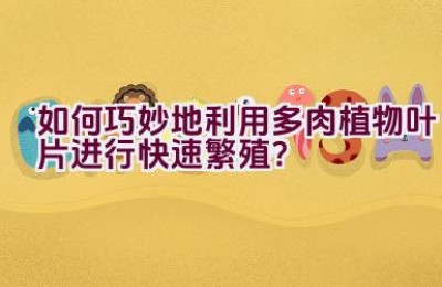 如何巧妙地利用多肉植物叶片进行快速繁殖？