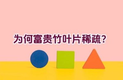 “为何富贵竹叶片稀疏？”