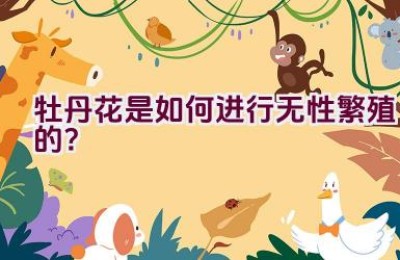 牡丹花是如何进行无性繁殖的？