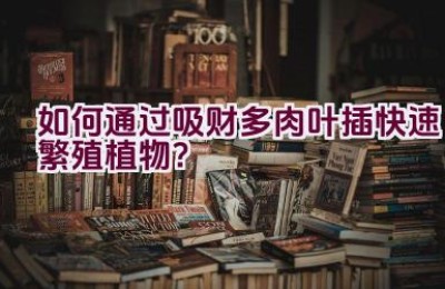 如何通过吸财多肉叶插快速繁殖植物？