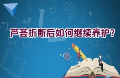 芦荟折断后如何继续养护？