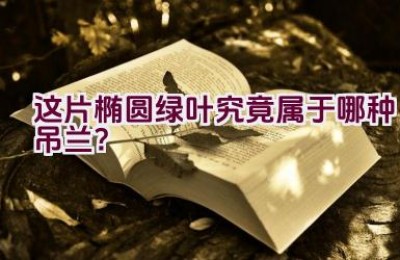 这片椭圆绿叶究竟属于哪种吊兰？