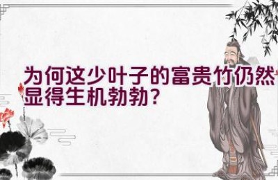 为何这少叶子的富贵竹仍然显得生机勃勃？