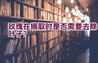 玫瑰在摘取时是否需要去除叶子？