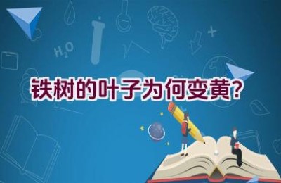 铁树的叶子为何变黄？