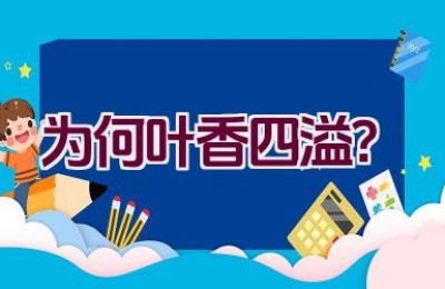 为何叶香四溢？