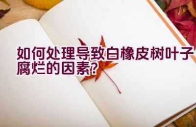 如何处理导致白橡皮树叶子腐烂的因素？