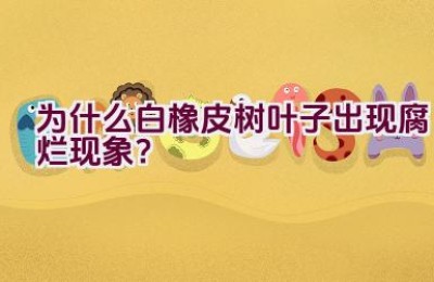 为什么白橡皮树叶子出现腐烂现象？