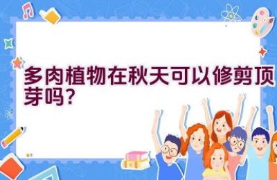 多肉植物在秋天可以修剪顶芽吗？