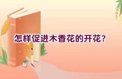 怎样促进木香花的开花？