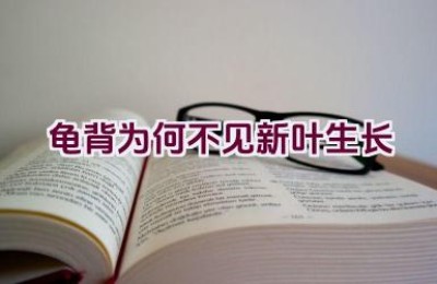 龟背为何不见新叶生长
