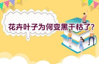 花卉叶子为何变黑干枯了？