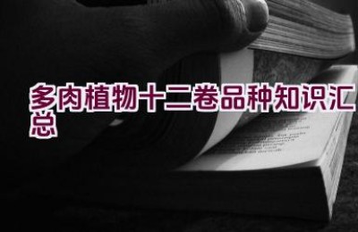 多肉植物十二卷品种知识汇总