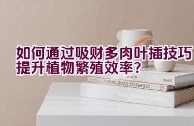 如何通过吸财多肉叶插技巧提升植物繁殖效率？