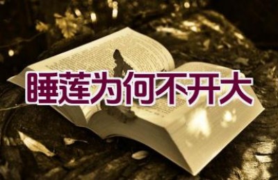 睡莲为何不开大