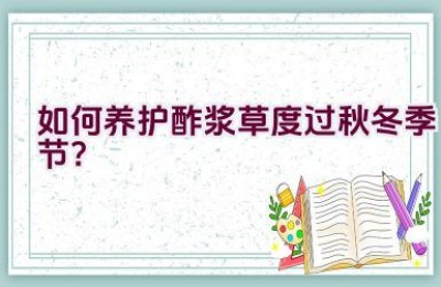 如何养护酢浆草度过秋冬季节？