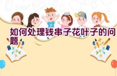如何处理钱串子花叶子的问题