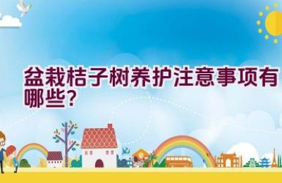 盆栽桔子树养护注意事项有哪些？