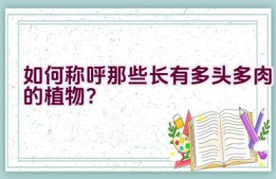 如何称呼那些长有多头多肉的植物？