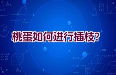 桃蛋如何进行插枝？