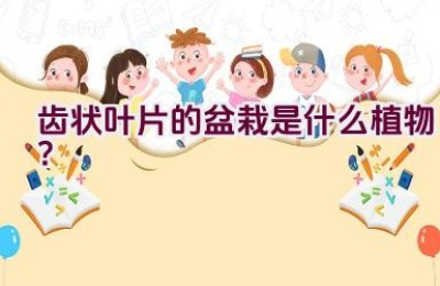 齿状叶片的盆栽是什么植物？