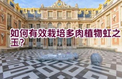 如何有效栽培多肉植物虹之玉？