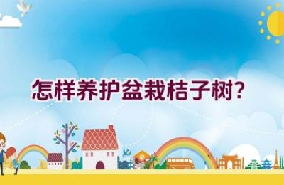 怎样养护盆栽桔子树？