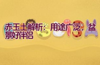 赤玉土解析：用途广泛，盆景好伴侣
