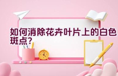 如何消除花卉叶片上的白色斑点？
