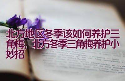 北方地区冬季该如何养护三角梅，北方冬季三角梅养护小妙招