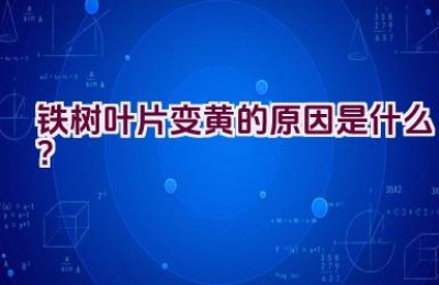 铁树叶片变黄的原因是什么？