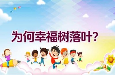 为何幸福树落叶？