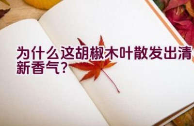 为什么这胡椒木叶散发出清新香气？