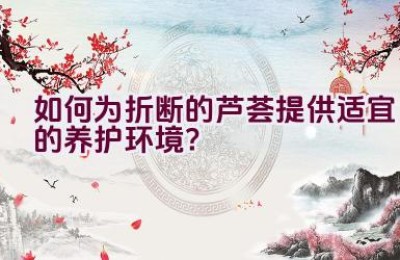 如何为折断的芦荟提供适宜的养护环境？