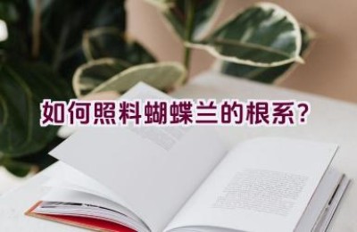 如何照料蝴蝶兰的根系？