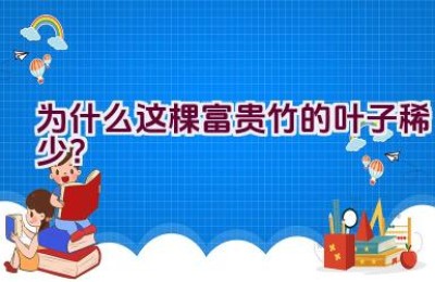 为什么这棵富贵竹的叶子稀少？