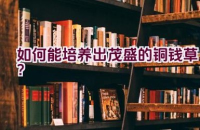 如何能培养出茂盛的铜钱草？