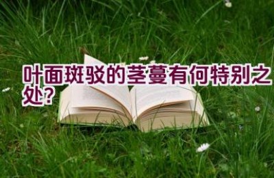 叶面斑驳的茎蔓有何特别之处？