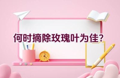 何时摘除玫瑰叶为佳？