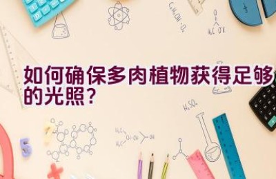 如何确保多肉植物获得足够的光照？