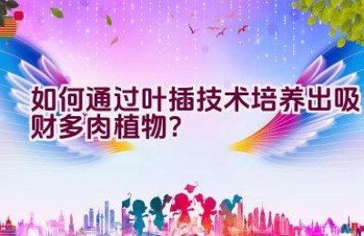 如何通过叶插技术培养出吸财多肉植物？