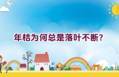 年桔为何总是落叶不断？