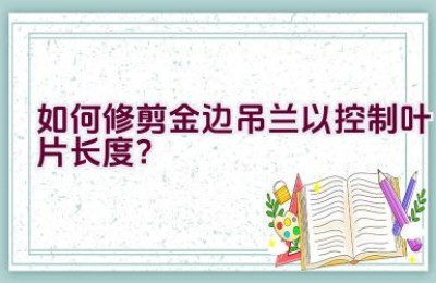 如何修剪金边吊兰以控制叶片长度？
