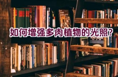 如何增强多肉植物的光照？