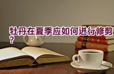 牡丹在夏季应如何进行修剪？