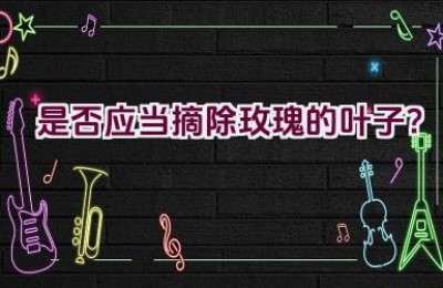 是否应当摘除玫瑰的叶子？