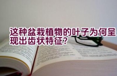 这种盆栽植物的叶子为何呈现出齿状特征？