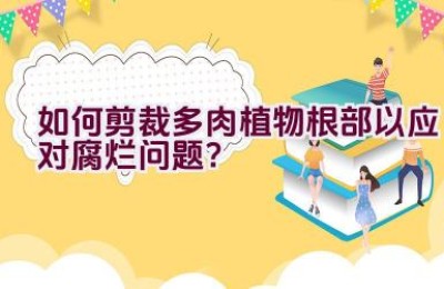 如何剪裁多肉植物根部以应对腐烂问题？